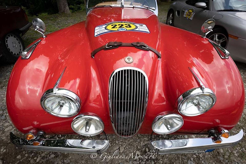 %_tempFileName14-AI-jaguar-xk-120%